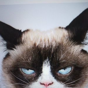 Meet your Posher, Joanna